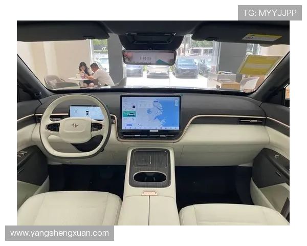 18万不到！喜提车长超5米，大六座，有冰箱彩电的eπ008